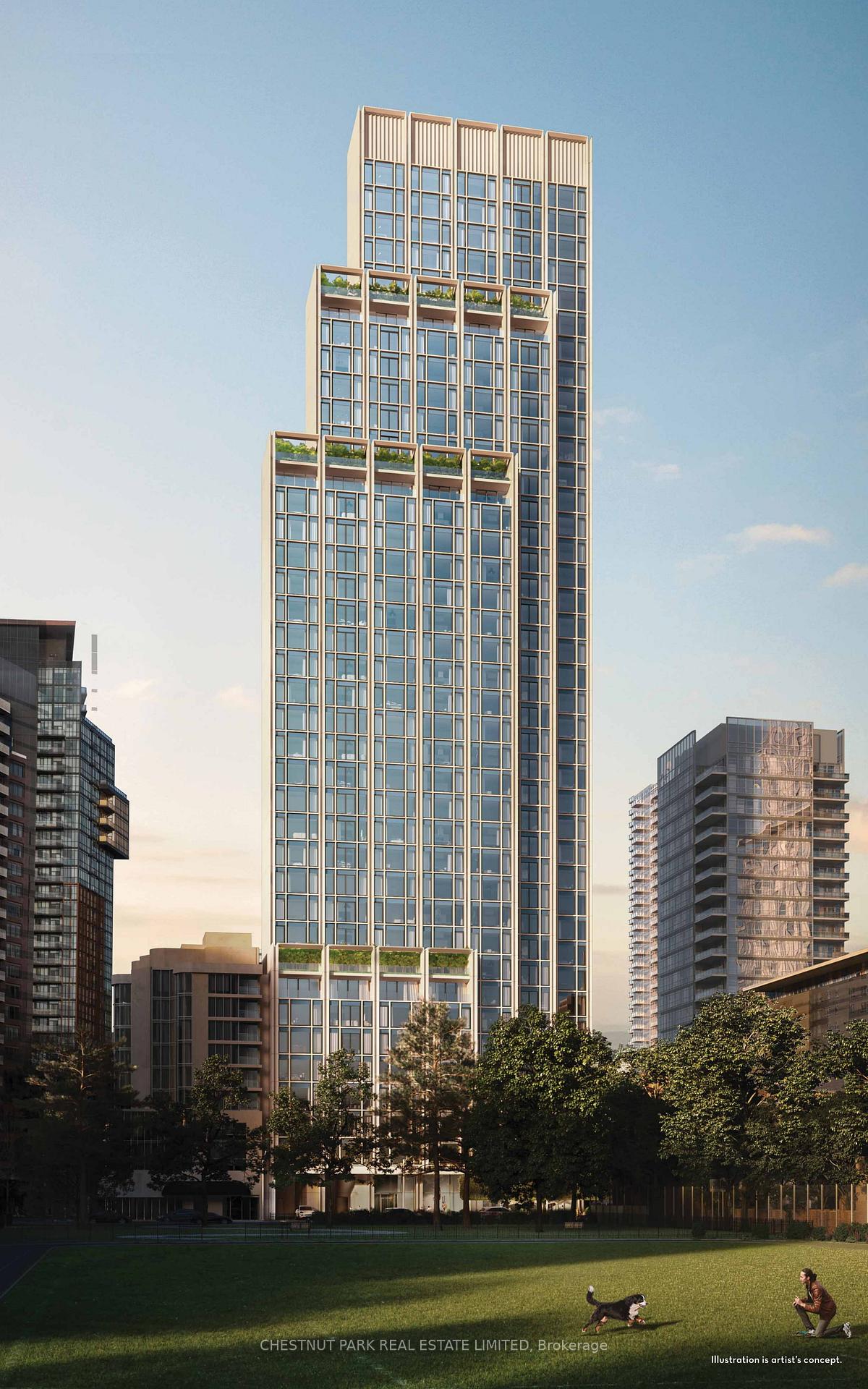 1315 Bay Street  #504