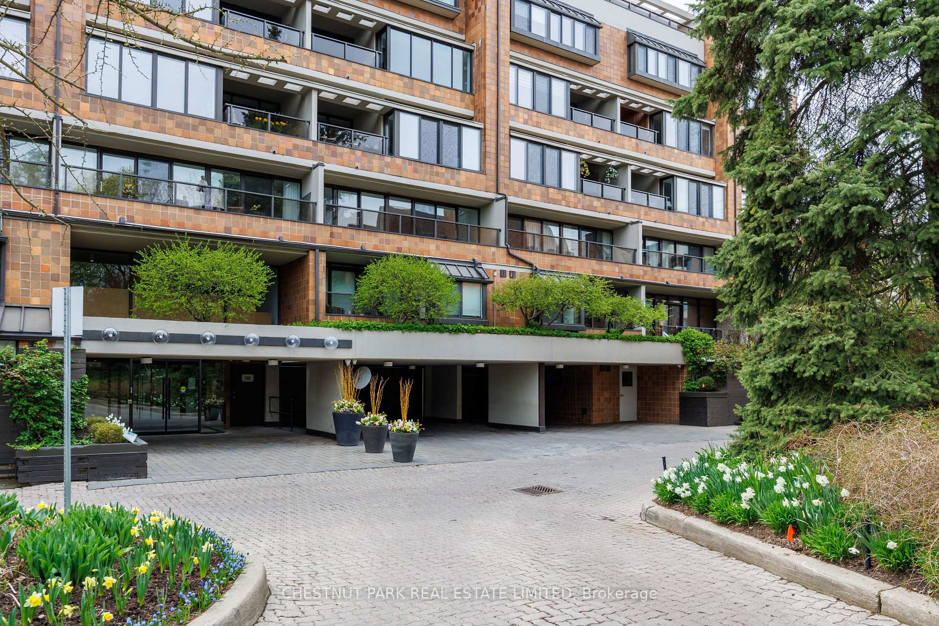 40 Oaklands Avenue  #203